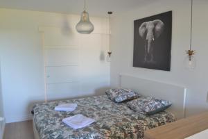 罗德兹Le Bompard 50 m2 Villa Art Déco Plein centre avec jardin的客房配有带枕头的床和大象的照片