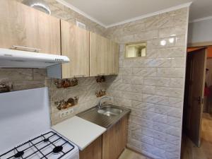 敖德萨Filatov apartment的一间带水槽和炉灶的小厨房