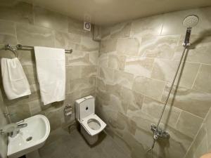 茨卡尔图博Lake House的浴室配有卫生间、盥洗盆和淋浴。