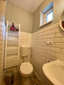 布拉索夫Johann Gott Suite的白色的浴室设有卫生间和水槽。