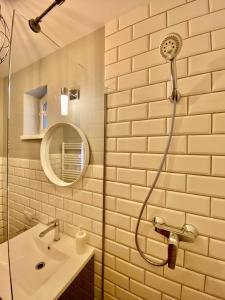 布拉索夫Johann Gott Suite的带淋浴和盥洗盆的浴室
