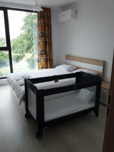 布拉戈耶夫格勒Лукс апартамент Алекс的一间卧室设有一张床和一个大窗户