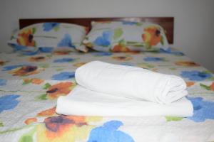 大格拉迪什泰Srebrna Nit的床上的一大堆毛巾