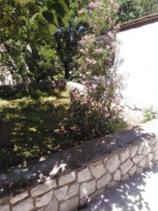 克罗诺维察Apartman Mimi的石墙,灌木和鲜花