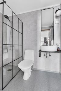 阿伦达尔Lille Hotell的一间带卫生间、水槽和镜子的浴室