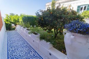 阿纳卡普里Il Veliero B&B charming rooms的种植了一排盆植物和树木的花园