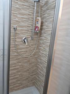 法萨诺appartamento butterfly的淋浴间设有软管