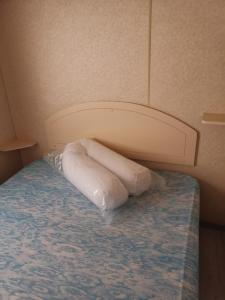 Néfiachmobilhome Catalan的枕头坐在房间床边