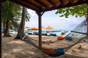 丽贝岛瓦皮度假酒店的海滩上的吊床,配有椅子和遮阳伞