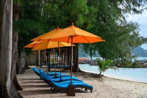丽贝岛瓦皮度假酒店的海滩上一排蓝椅的伞下