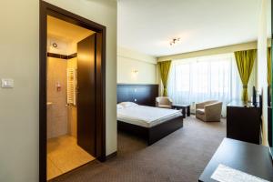 Corunca阿莱西亚餐厅酒店的一间酒店客房 - 带一张床和一间浴室