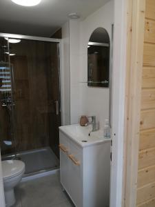 梅尔诺Pogodny Domek的一间带水槽、淋浴和卫生间的浴室