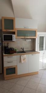 鲁沃迪普利亚Appartamento Antica Ruvo的厨房配有水槽和微波炉