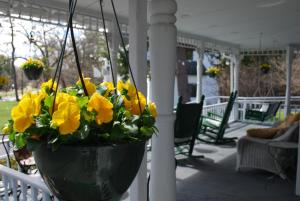萨拉托加泉Anne's Washington Inn的挂在门廊上的一盆黄色花