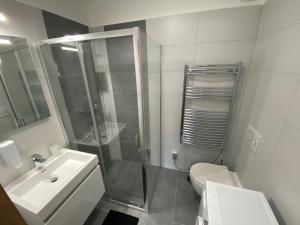 库特纳霍拉Modern apartment in Kutna Hora的带淋浴、卫生间和盥洗盆的浴室