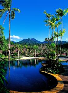 象岛象岛安妮卡酒店的一座棕榈树和蓝色海水游泳池