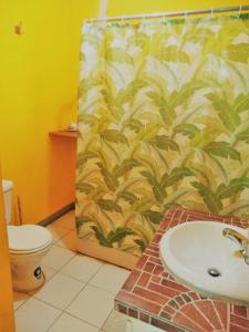 安东尼奥港TOGA GUEST HOUSE的一间带水槽和淋浴帘的浴室