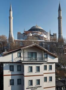伊斯坦布尔Hotel Saint Sophia的一座有清真寺背景的建筑
