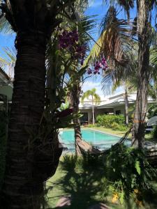 华欣Tropical House​的游泳池旁的棕榈树