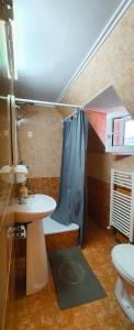 普雷代亚尔可可旅馆的带淋浴、盥洗盆和卫生间的浴室