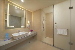 郑州郑州郑东智选假日酒店的浴室配有盥洗盆和带镜子的淋浴