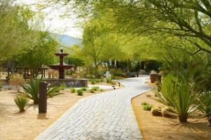 博雷戈斯普林斯La Casa Del Zorro Resort & Spa的公园里的一个步行道,公园里拥有喷泉和树木