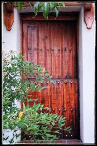 萨拉曼卡Casa Quevedo的前面有树丛的木门