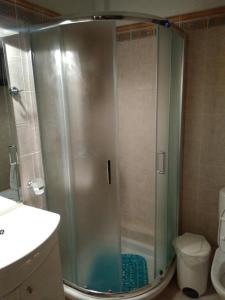 科罗皮Harmony seaside apartments的浴室里设有玻璃门淋浴
