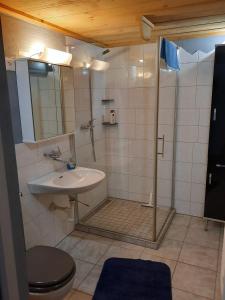DärligenBerner Oberland的带淋浴、水槽和卫生间的浴室