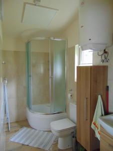TrzebiniaPod Pagórkiem的带淋浴、卫生间和盥洗盆的浴室