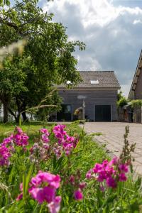 蒂尔堡De Nieuwe Warande的前面有粉红色花的房子
