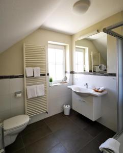 霍鲁梅尔希尔加尼本迪克斯酒店的一间带水槽、卫生间和镜子的浴室