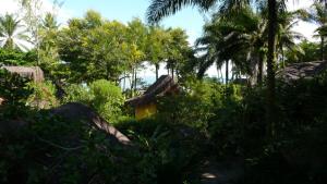 伊尔哈德博伊巴Pousada Canoa Nativa的树丛中的黄色房子
