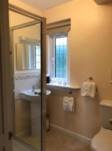 水上伯顿库姆旅馆的一间带水槽、镜子和卫生间的浴室