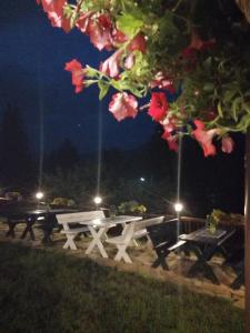 沃拉内特Casa Verde的夜间公园的白色野餐桌