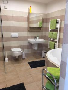 KytliceLusatia House的浴室配有盥洗盆、卫生间和浴缸。