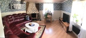 斯切灵加德Berget的客厅配有真皮沙发和电视