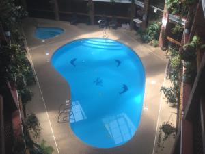 科尔特斯Baymont by Wyndham Cortez的享有酒店游泳池的顶部景色