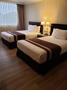 拉塞雷纳地亚哥阿尔马格罗拉塞雷纳酒店的酒店客房设有两张床和窗户。