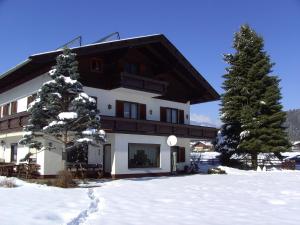 塞博登帕比勒尔旅馆的一座大建筑,有树在雪中