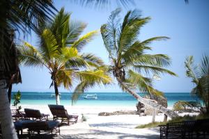 迪亚尼海滩Coconut Village Beach Resort的海滩上,有椅子和棕榈树,还有大海