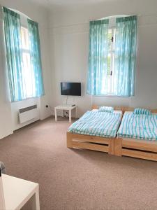 赫任斯科Penzion Hřensko的一间卧室设有两张床、一台电视和两个窗户。