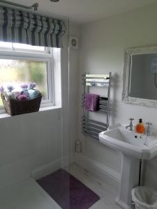 霍恩卡斯尔Grooms Cottage的白色的浴室设有水槽和窗户。