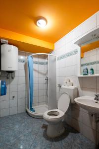 布莱德Bled Hostel的浴室配有卫生间、淋浴和盥洗盆。