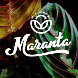 科斯蒂内什蒂Casa Maranta的植物上一个marmite标志的照片