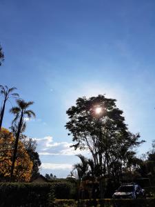 伊塔年杜米纳斯别墅旅馆的太阳照耀的树