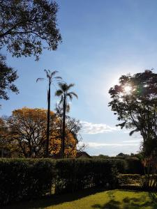 伊塔年杜米纳斯别墅旅馆的种有棕榈树和阳光的花园
