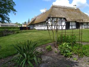 Sandholts-LyndelseBaekgaarden B&B的一座带茅草屋顶和花园的古老房屋