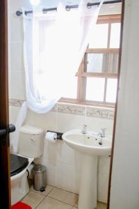 塔巴津比Hardekool Guesthouse的一间带水槽和卫生间的浴室以及窗户。