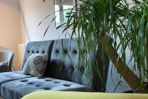 雅西La Tuya Deluxe Villa的坐在盆栽旁边蓝色的沙发